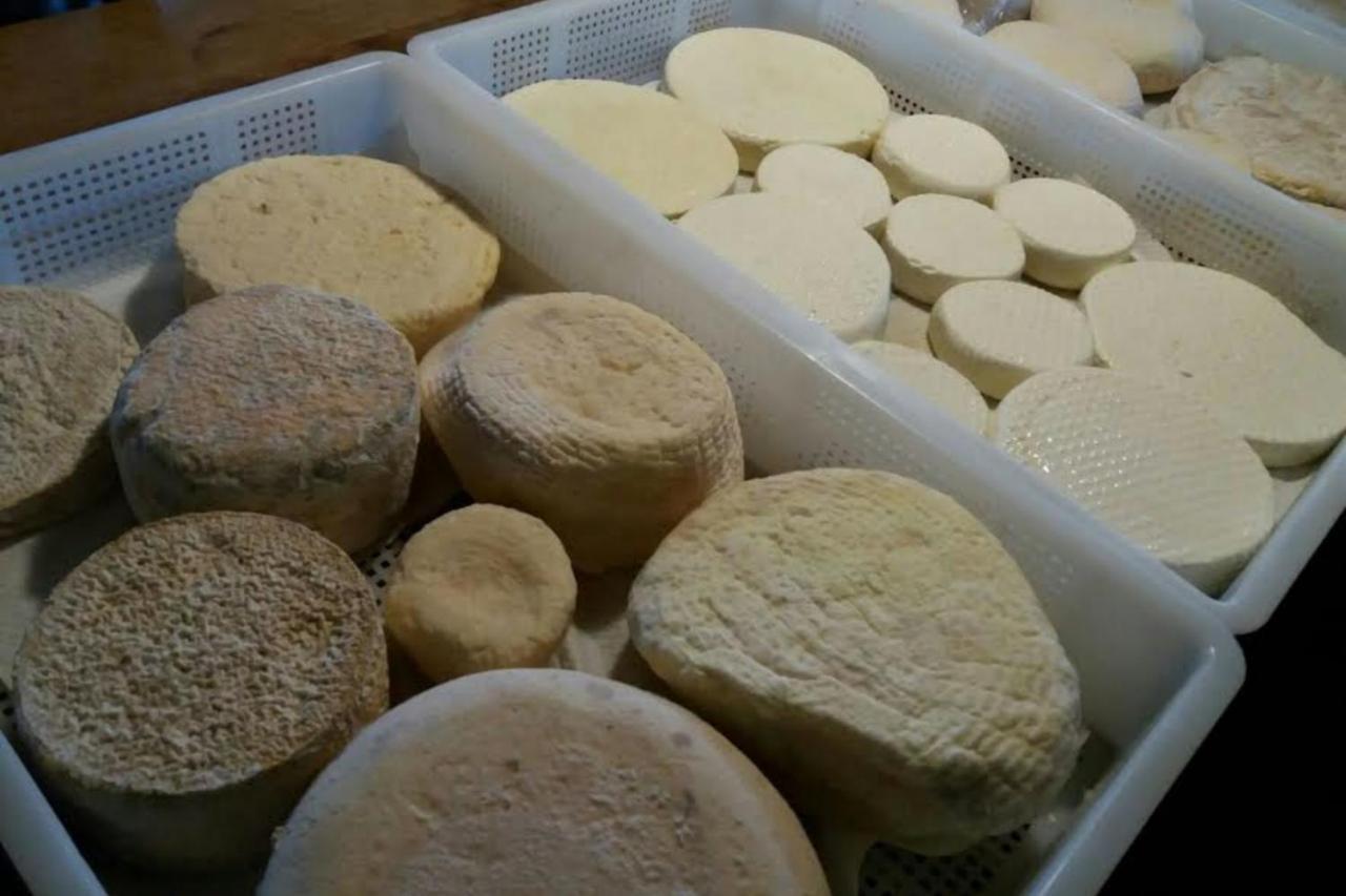 Carro Agriturismo Di Charme E Ristorante Stallato Il Filo Di Paglia מראה חיצוני תמונה